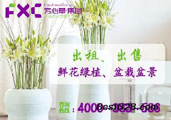 成都花木盆景租賃公司 專業(yè)花卉綠植租借與代管理服務(wù)